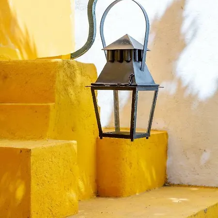 Bright & Spacious With Orange Tree Patio, By Timecooler