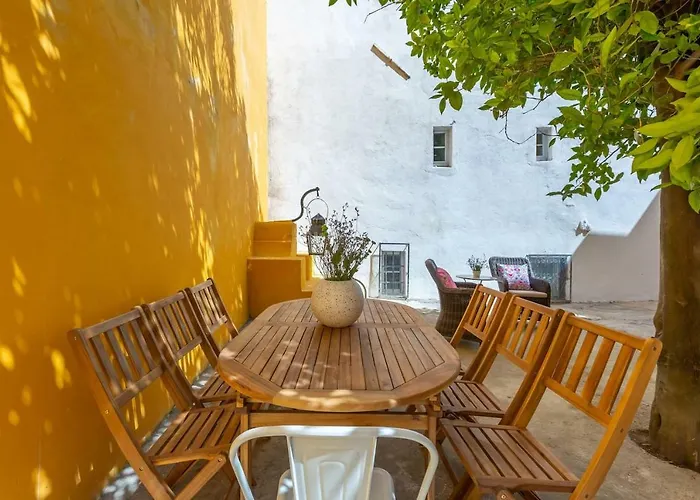 Apartment Bright & Spacious With Orange Tree Patio, By Timecooler *